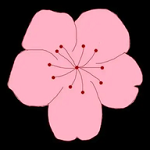 WWW,853se·COM网站APPAPP应用